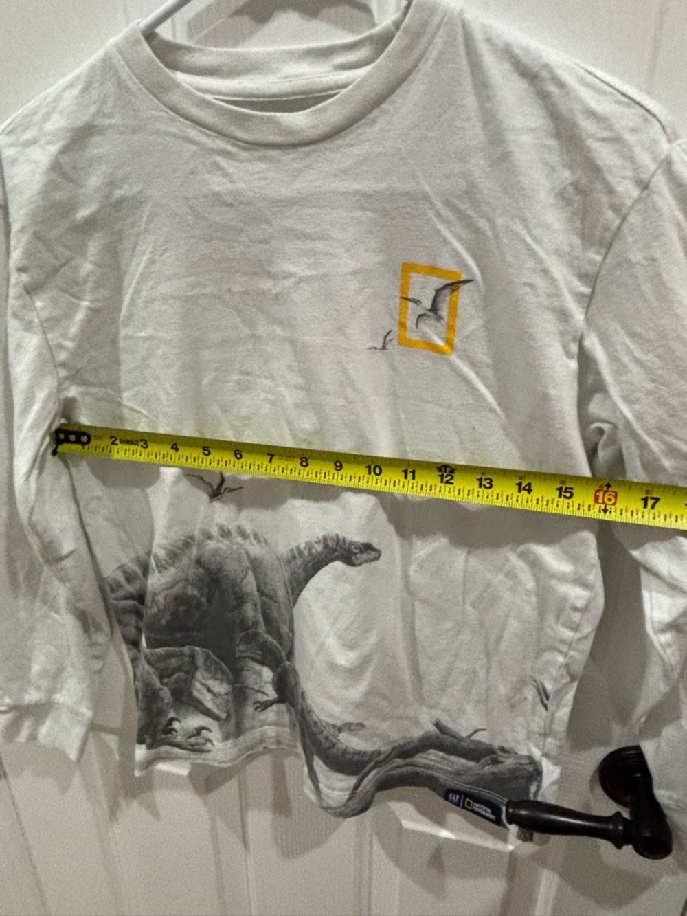 Boys GAP National Geographic White Dinosaur Graphic Long-Sleeve Tee - Picture 8 of 9